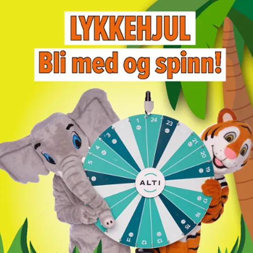 Lykkehjul