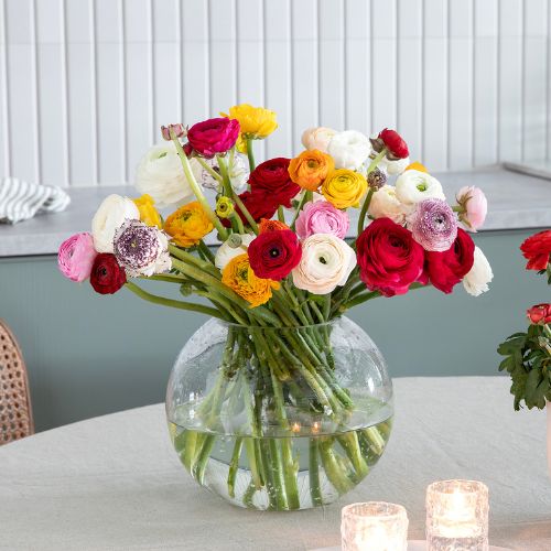 MG Ranunkle 2 For 100 U10