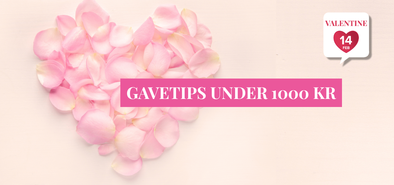 V.GAVETIPS UNDER 1000 KR