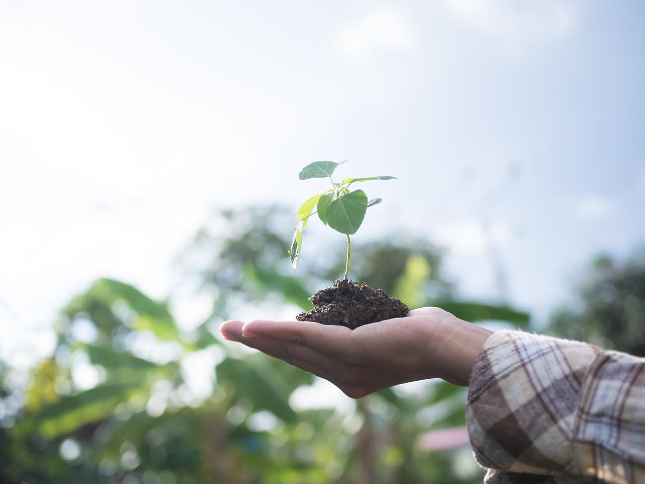 Bærekraft Alti TB Art