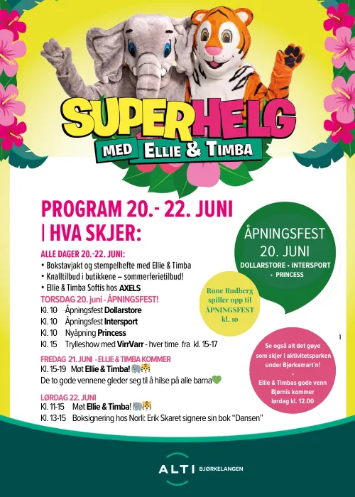 Program Bjørk