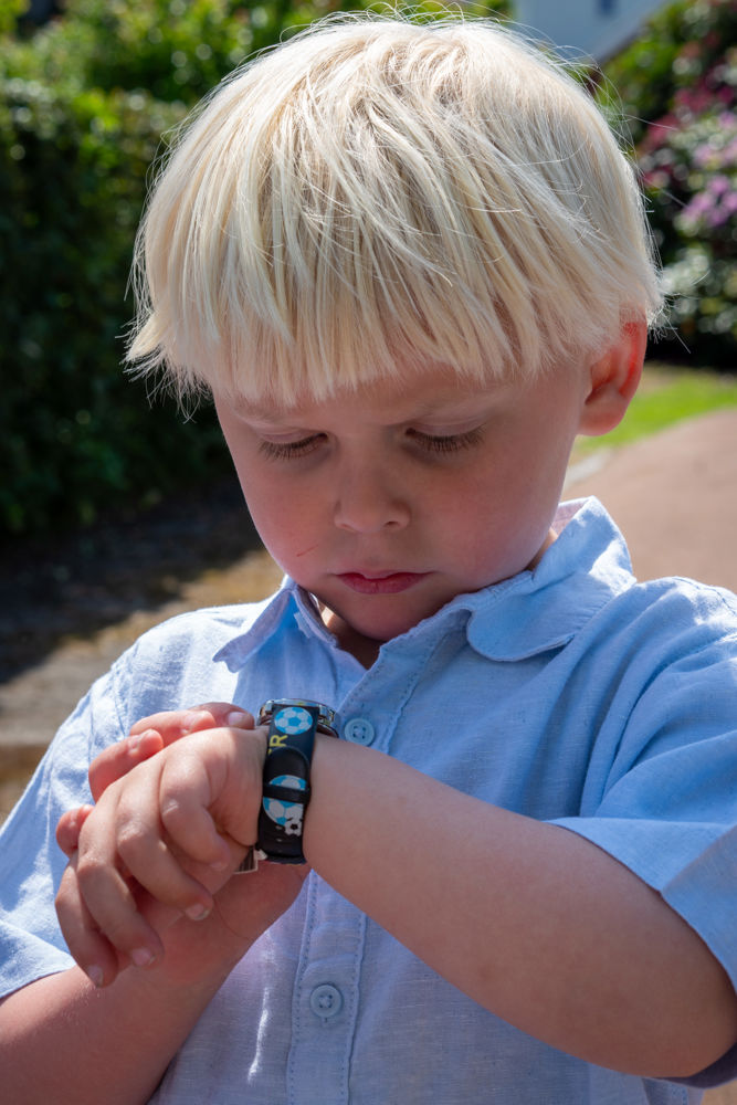 Brotorvet Sommermag Bilder 18