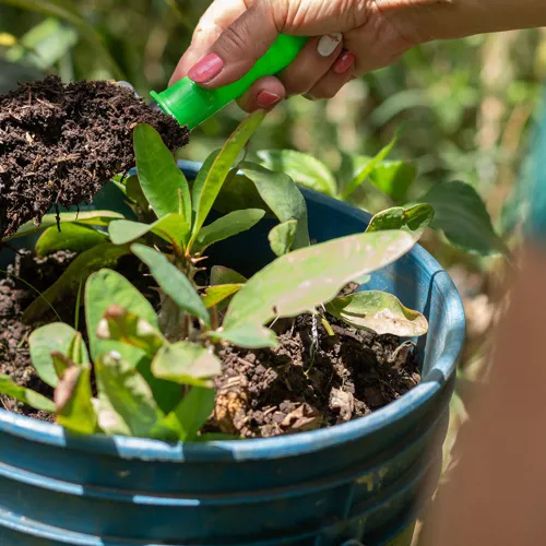 Alti Kompost Plantejord Planter