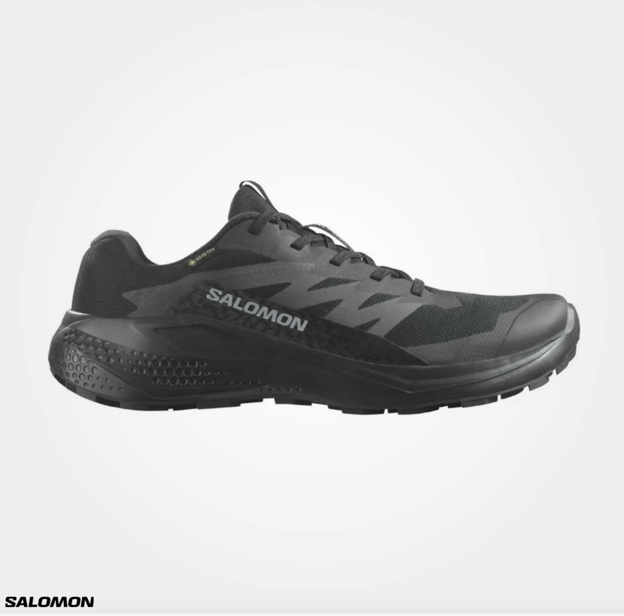 Salomon Alphaglide Gtx