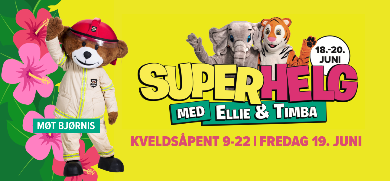 MØT BJØRNIS