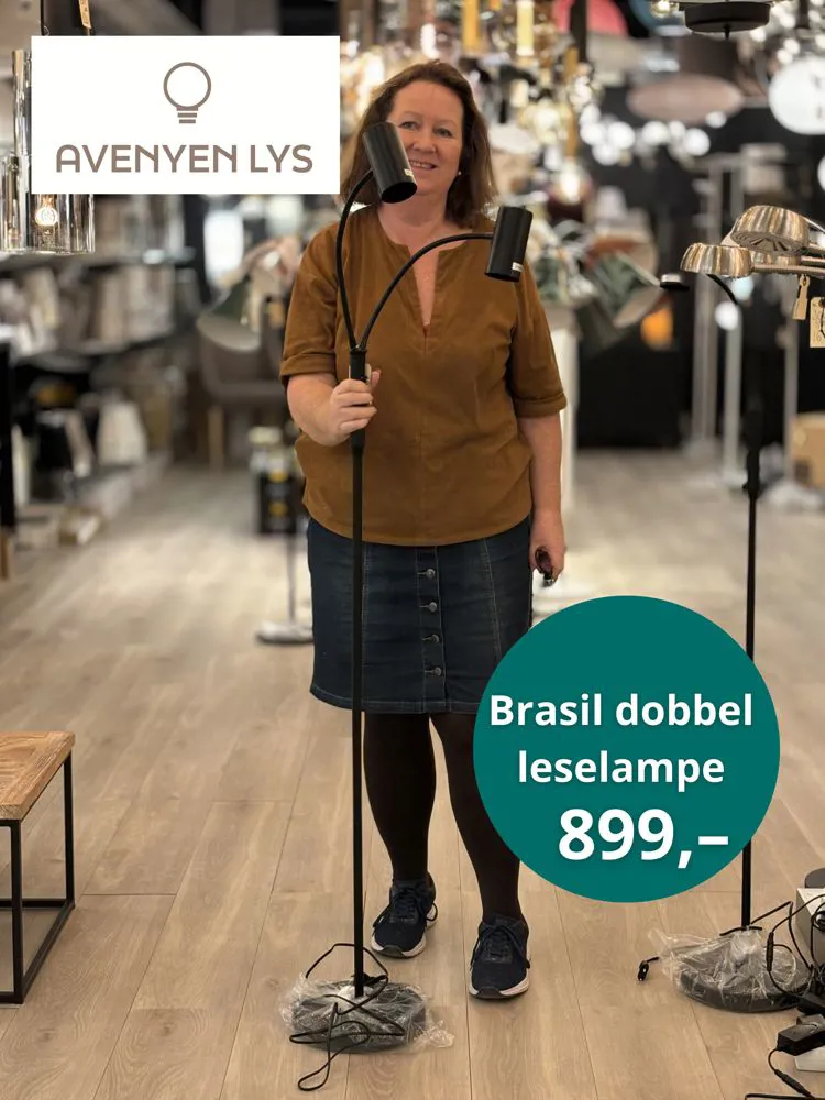 Avenyen Dobbel Leselampe