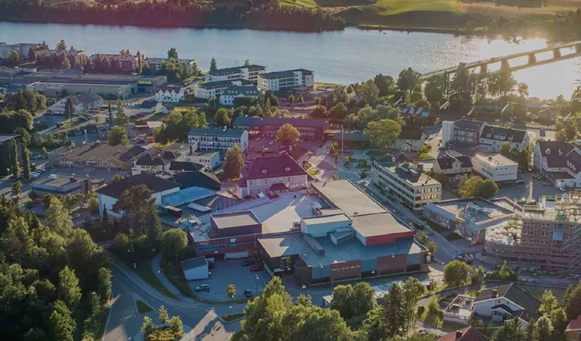 Alti Årnes
