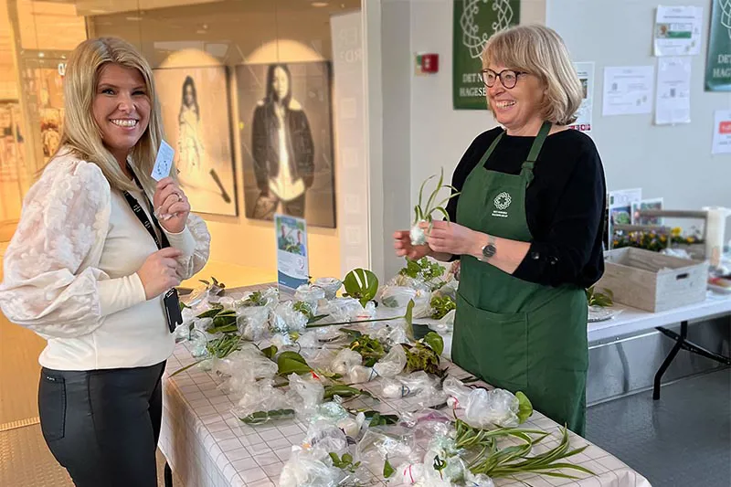 Stiklingbyte Altiførde