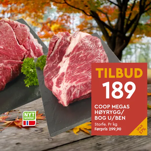 CM Høyrygg Bog U Ben U37