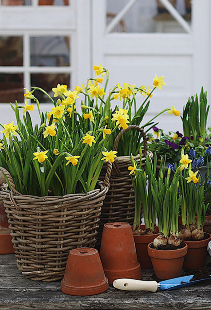 Skjermbilde 2026 03 09 Kl. 12.13.53