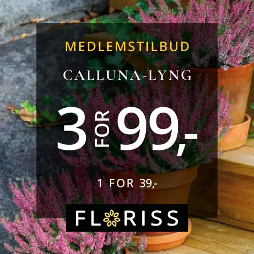 Floriss Lyng 99 U39 40
