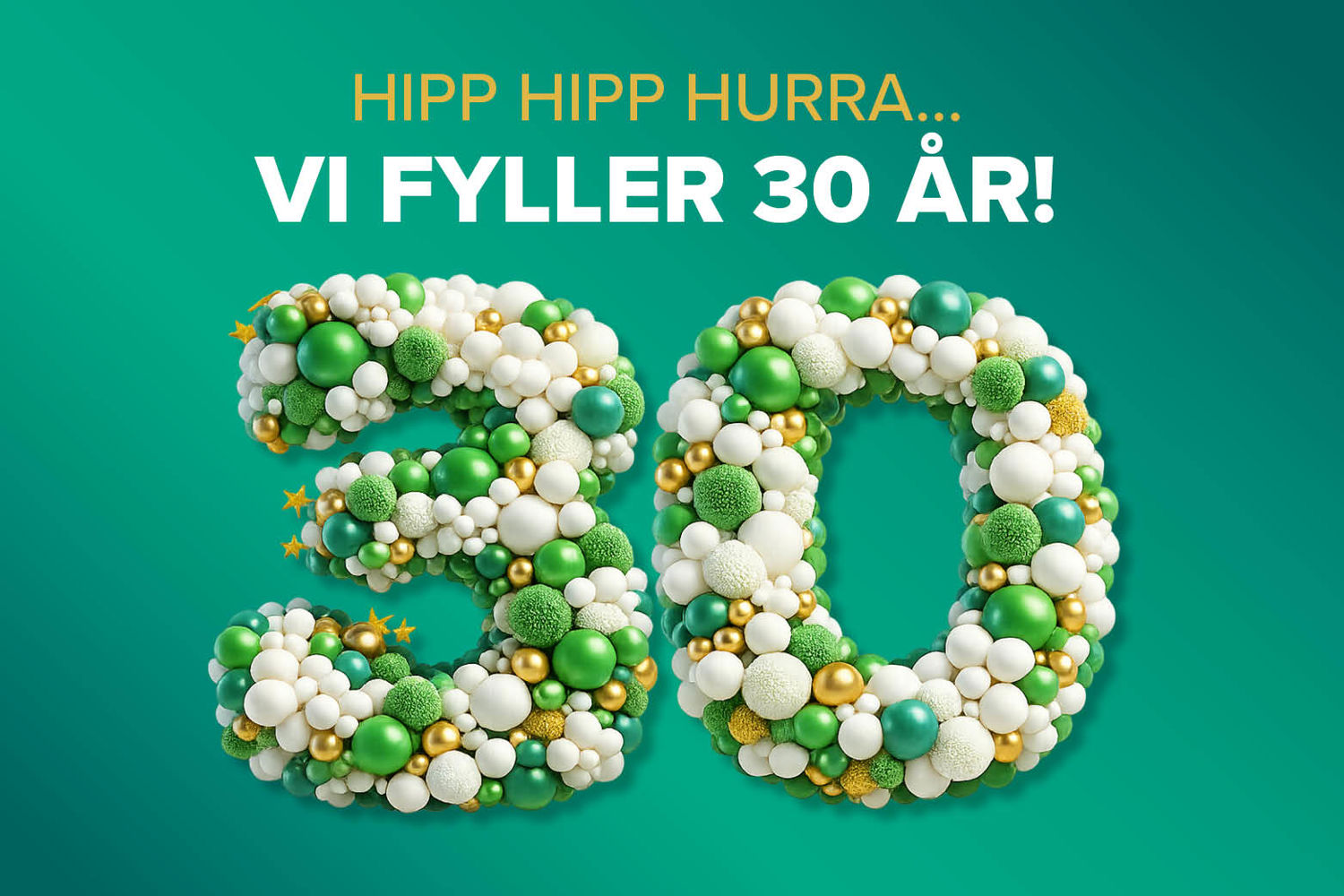 Vinterbro30 Hjemmeside 750X500