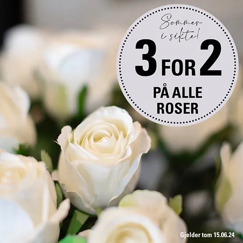 Feel 3 For 2 På Roser U22 24
