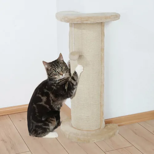 Pets Buddy Kloremøbel Tilbud 18. 27.9