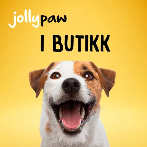 Dollarstore Hund
