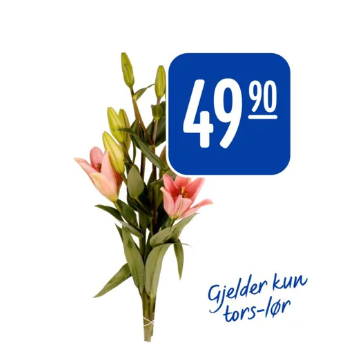Design Uten Navn (1)