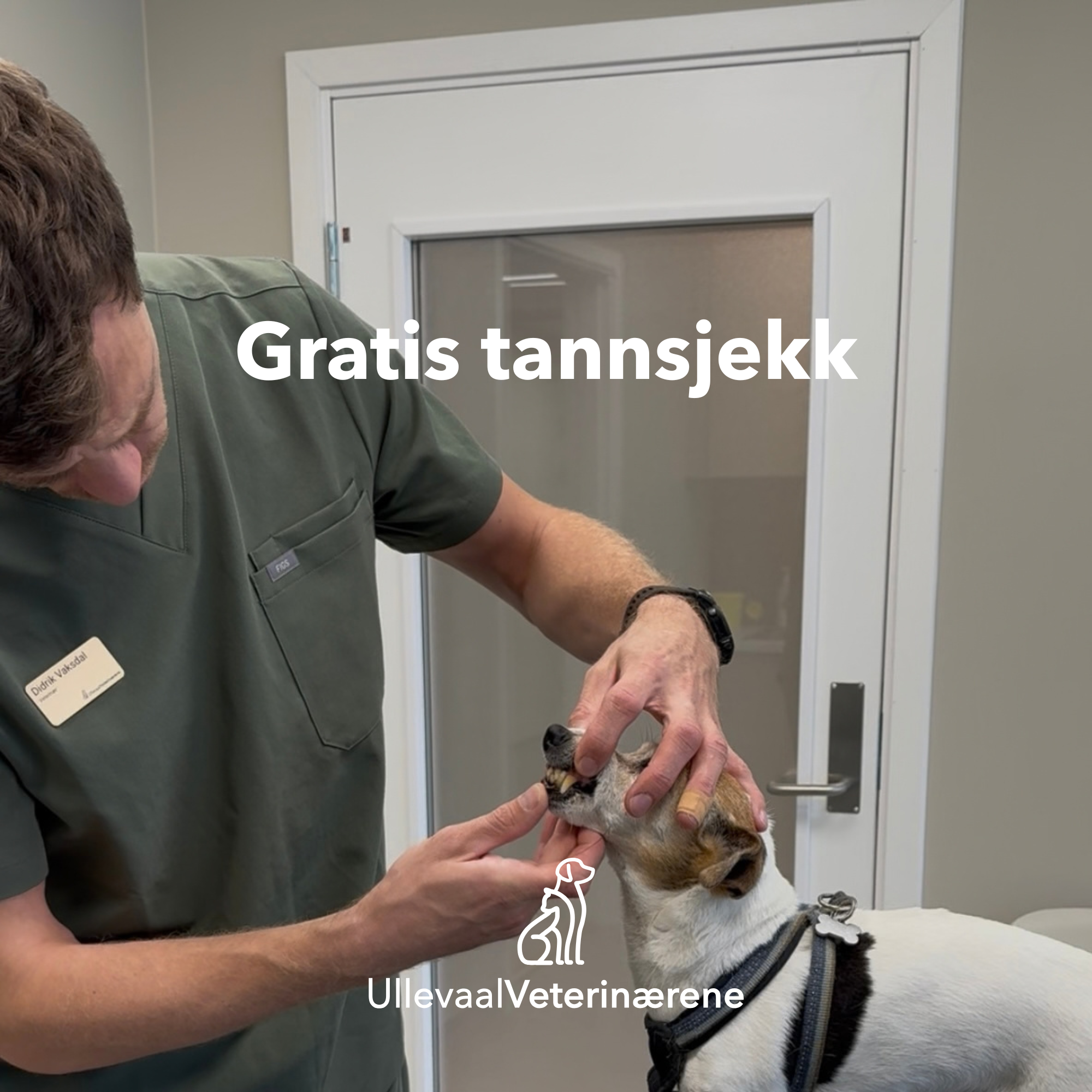 Gratis Tannsjekk